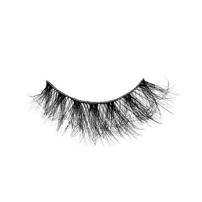 Ready Lash - Absolutely